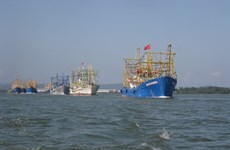 Da Nang invests efforts in developing sea-based economy