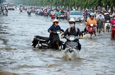 Vietnam exerts efforts to ease climate change impacts: official