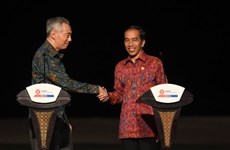 Indonesia calls for use of creative finance to achieve SDGs