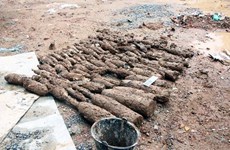 RENEW project handles 590 explosive devices in Quang Tri