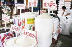 Cambodia’s rice exports drop in first nine months of 2018