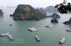 Ha Long aims to turn into international tourism hub