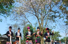 Northwestern culture to be featured at 6th Ban Flower Festival