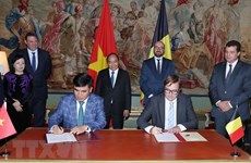 Vietnam, Belgium promote cooperation in multiple fields