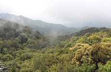 Bach Ma National Park: the ‘sleeping beauty’ of central Vietnam