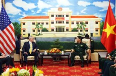 Vietnam, US vow to enhance cooperation in dioxin treatment