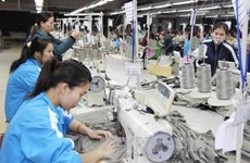 Dong Nai: 10-month FDI surpasses 60 percent of yearly target