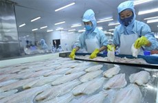 Tra fish exports to US enjoy strong surge  