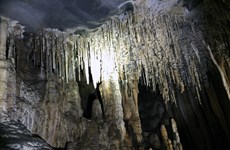 Quang Binh offers new tours to explore Vom, Gieng Vooc caves