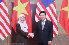 Deputy PMs call for stronger Vietnam-Malaysia strategic partnership