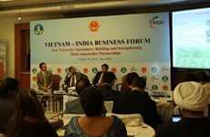 Vietnam-India Business Forum promotes agricultural growth