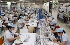Domestic supplies important to Vietnamese garment & textile industry