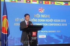 Vietnamese firms actively look for chances in ASEAN market