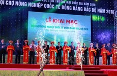 Int’l agriculture fair for northern region opens in Thai Binh