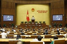 National Assembly discuss bills on amnesty, husbandry on November 7