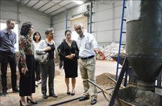 Pyrolysis technology improves coffee quality