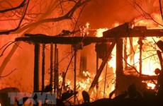 No Vietnamese victims reported in wildfires in California 