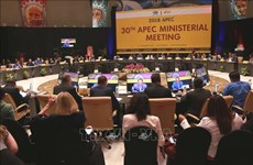 APEC adopts guidelines on infrastructure investment