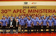 Deputy PM: APEC remains focus of Vietnam’s foreign policy