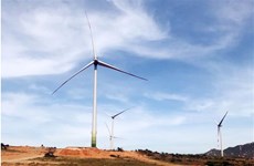 Ninh Thuan steps up implementation of wind power projects
