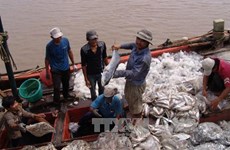 Seafood byproducts add value to fishery industry