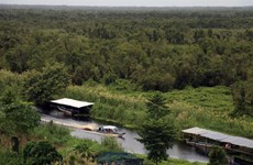 Vietnam’s wetlands under threat