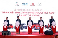 Prime Minister witnesses debut of VinFast automobile models 