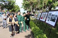 Photo exhibition honours late painter Xu Man 