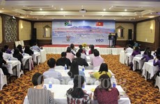 Vietnam-South Africa trade to hit 2 billion USD in 2019