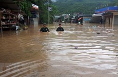Vietnam among worst hit nations by extreme weather in past 20 years