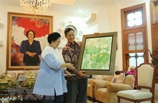 Vietnamese Ambassador meets leader of Indonesian party 