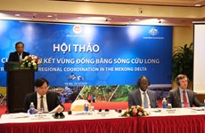 Experts seek solutions to strengthen connectivity in Mekong Delta