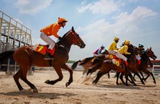 Horse racing course added into Hanoi’s planning