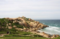 Tiny isle in Binh Thuan – ideal destination for nature lovers