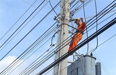 EVN Southern Power Corp increases investment in key provinces 