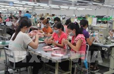Long An maintains top position in FDI attraction in Mekong Delta