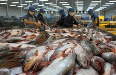 Vietnam could face tra fish oversupply