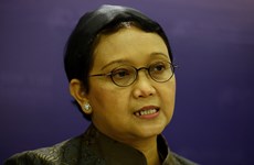 Indonesia defines diplomatic priorities for 2019