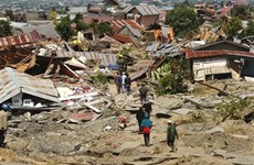 Indonesia speeds up construction of temporary houses for tsunami victims