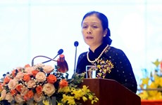 Nguyen Phuong Nga elected as VUFO President 