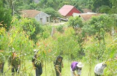 UN programme benefits over 6,000 locals in Lao Cai 
