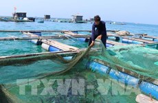Aquaculture sector looks to sustainable development 