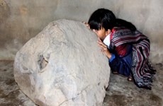Quang Ngai: unique stone instrument found on Bui Hui grassland