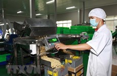 CPTPP brings opportunities, challenges to Vietnam’s agriculture 