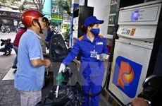 Petrol imports to be reduced this year