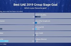 Hai wins best player and best goal in Asian Cup group stage