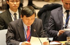Vietnam joins call for UNSC’s action to deal with climate change 