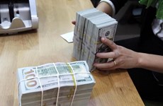 Central bank builds up currency reserves