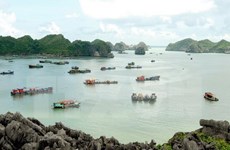 2018 – Successful year for Vietnam’s tourism industry