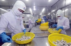 Shrimp export expected to top 4 billion USD in 2019